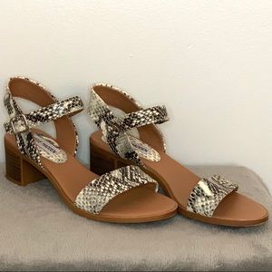 Steve Madden Python Block Heel Sandals